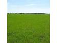 Grow Your Business Six lots of predominantly arable land